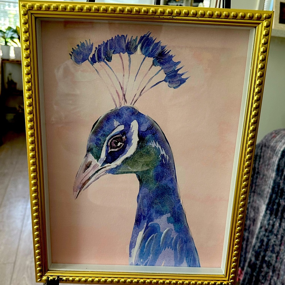 “The Peacock “